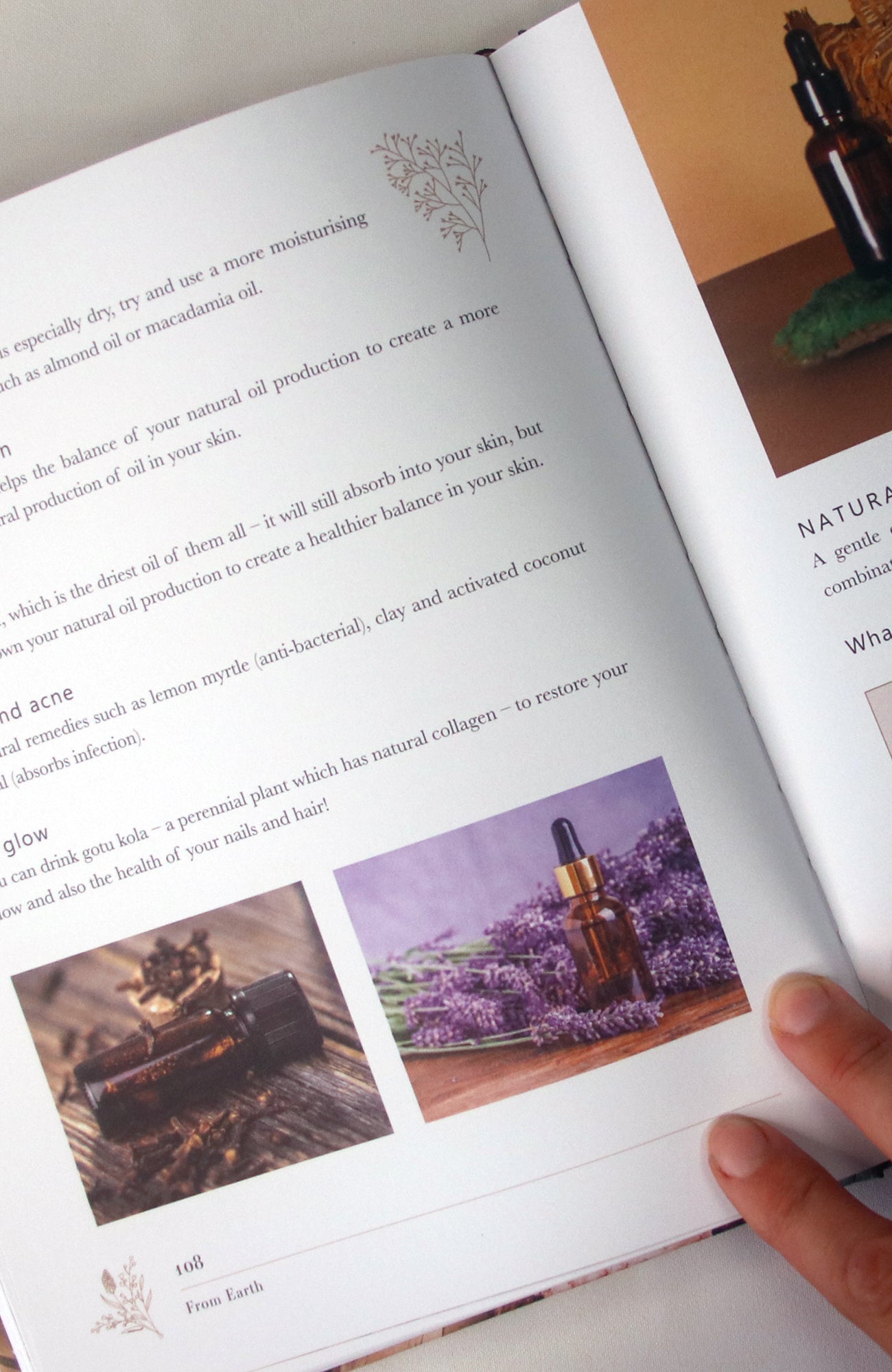 From Earth: A guide to creating a natural apothecary